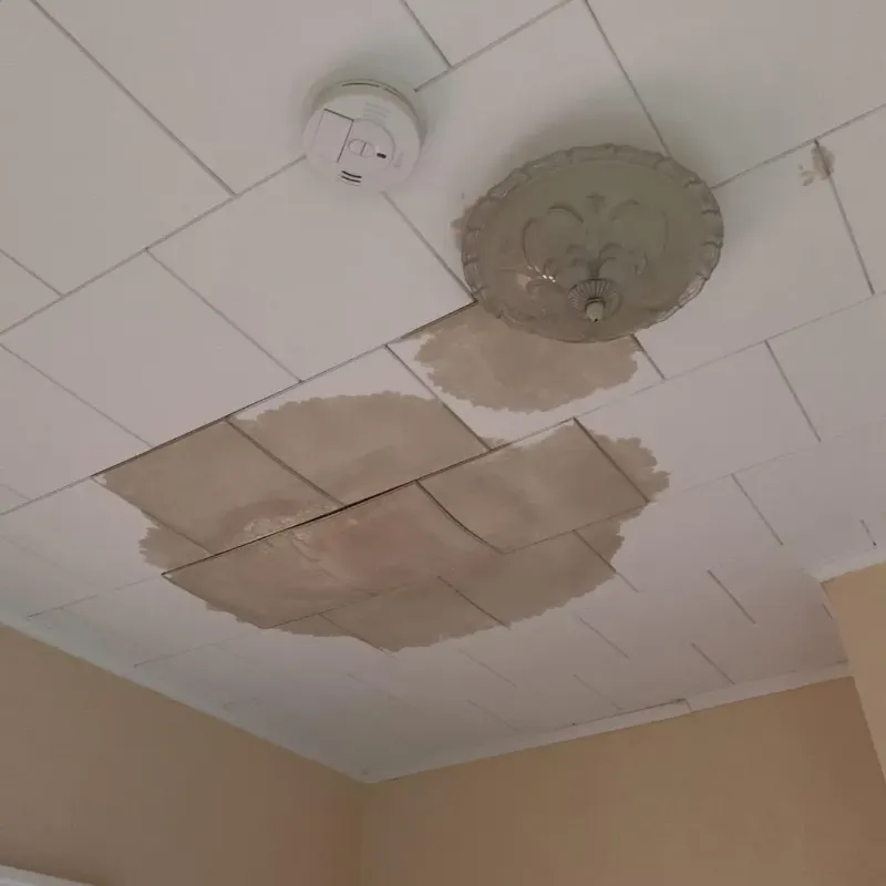 Ceiling Water Damage Repair in Vincent, AL