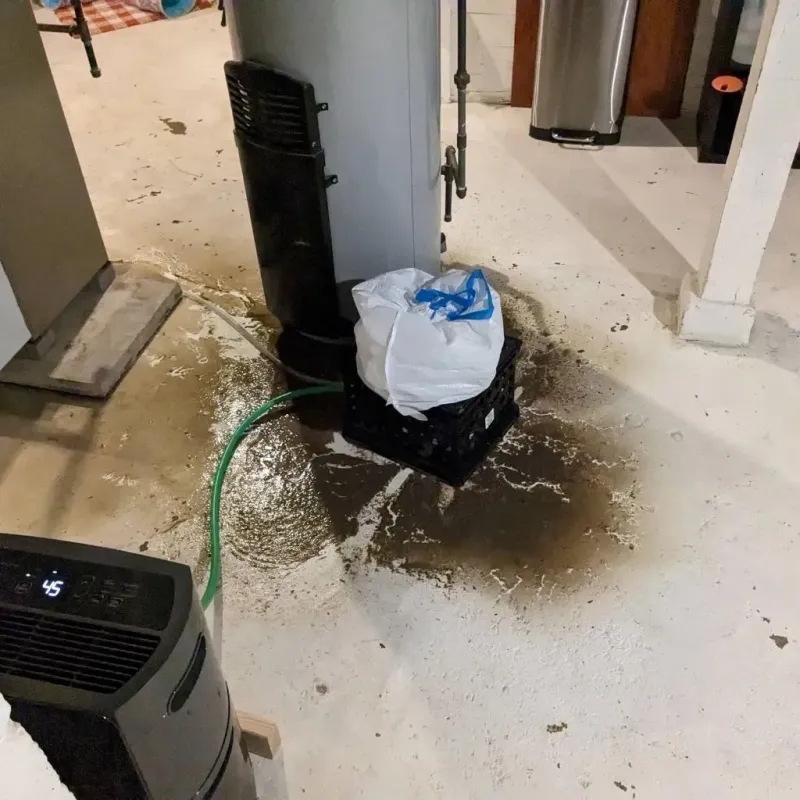Sewage Backup Cleanup Service in Vincent, AL